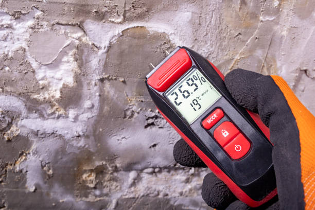 Best Water Damage Restoration  in Pontiac, MI