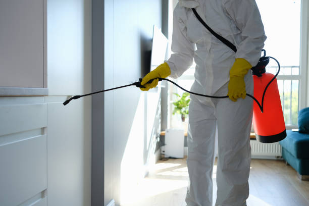 Mold Removal and Inspection in Pontiac, MI