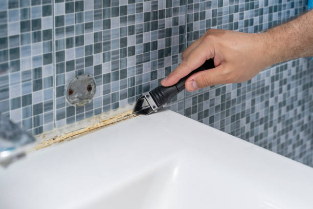 Best Mold Removal and Inspection  in Pontiac, MI