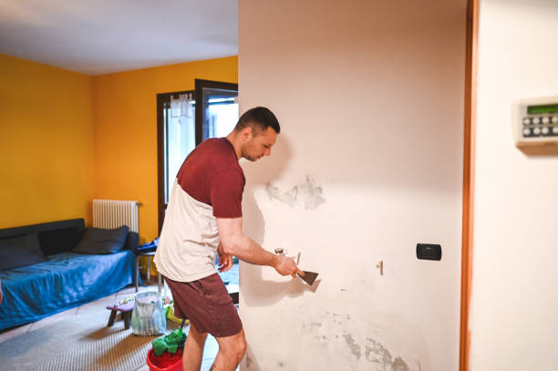 Best Toxic Mold Removal  in Pontiac, MI